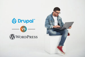 Consultora Inusual - Drupal vs WordPress: ¿cuál elegir para desarrollar tu página web?